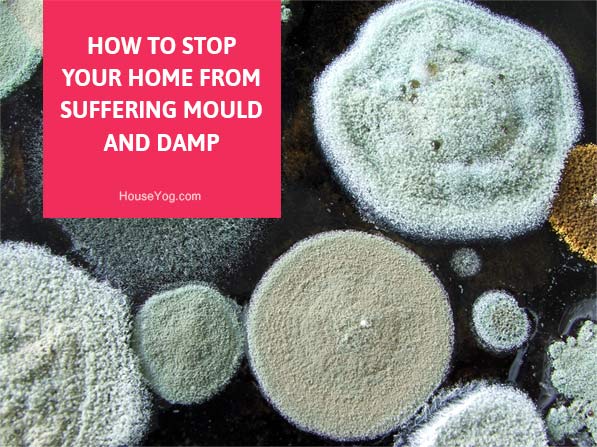 How to Stop Your Home from Suffering Mould and Damp
