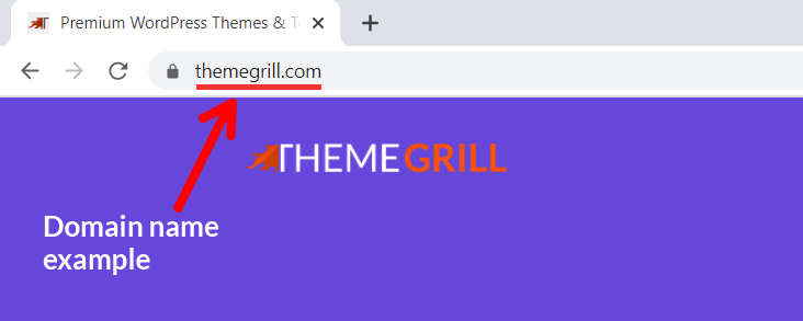 Domain Name Example 'ThemeGrill.com'